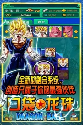 口袋龙珠游戏安卓版下载