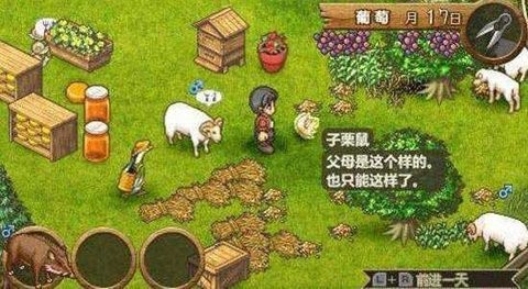 欢迎来到绵羊村游戏安卓版下载