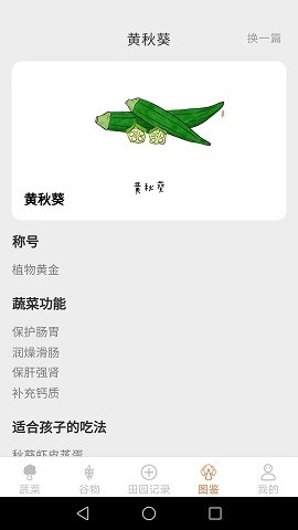 口袋田园